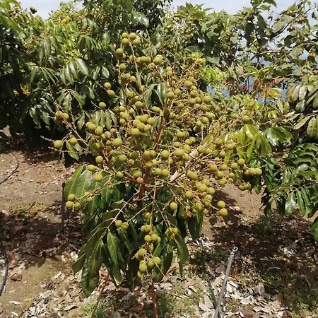 Vista Valle Casa vacanze