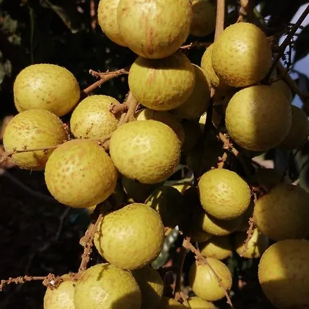 Vakantiehuis Vista Valle *