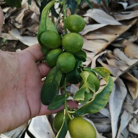 Vakantiehuis Vista Valle