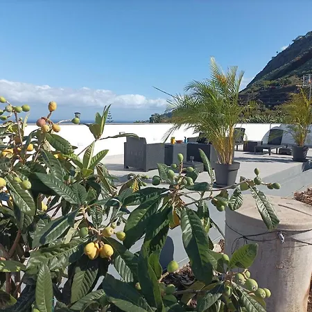 Vista Valle * La Orotava