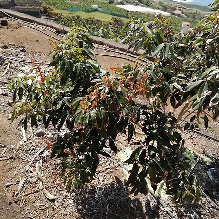 Vista Valle 라오로타바